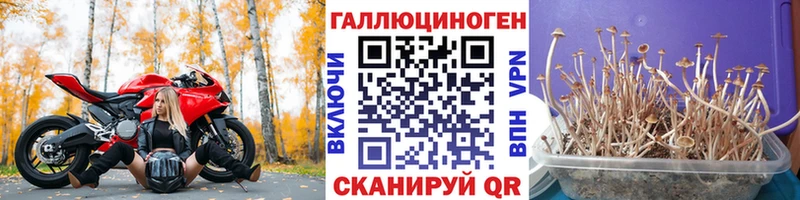 Псилоцибиновые грибы GOLDEN TEACHER  гидра как зайти  Киржач 
