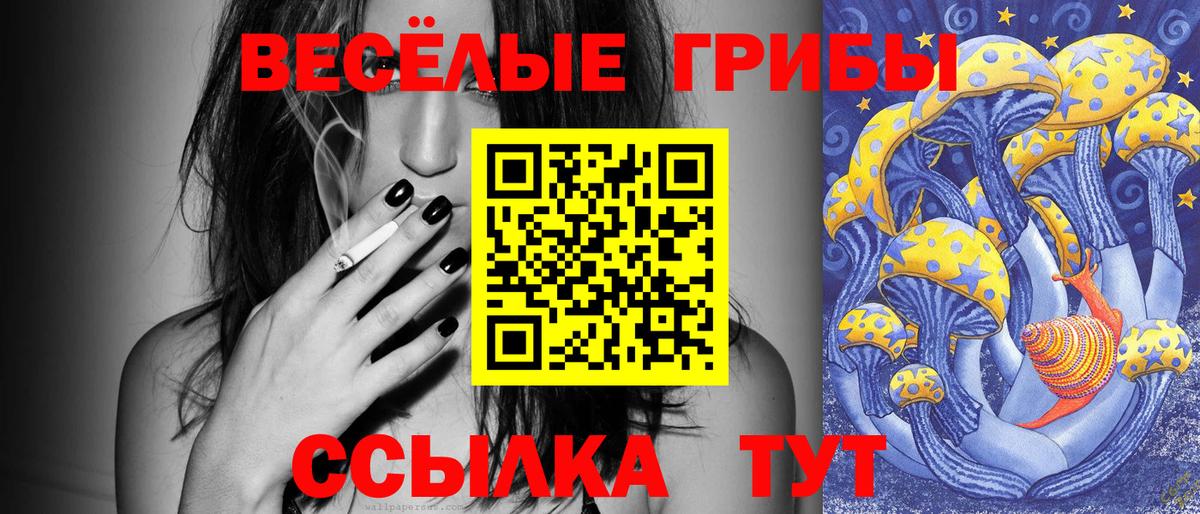 Киржач  Псилоцибиновые грибы ЛСД  Вход с VPN  наркота  Псилоцибиновые грибы Psilocybe 